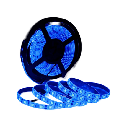 LED Roll Blue Non Water Proof 5mtr - Sign and Display UAE