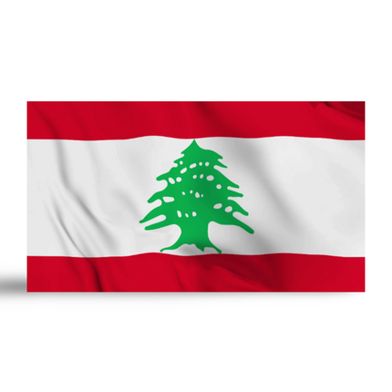 Table Top Flag- Singapore - Sign and Display UAE