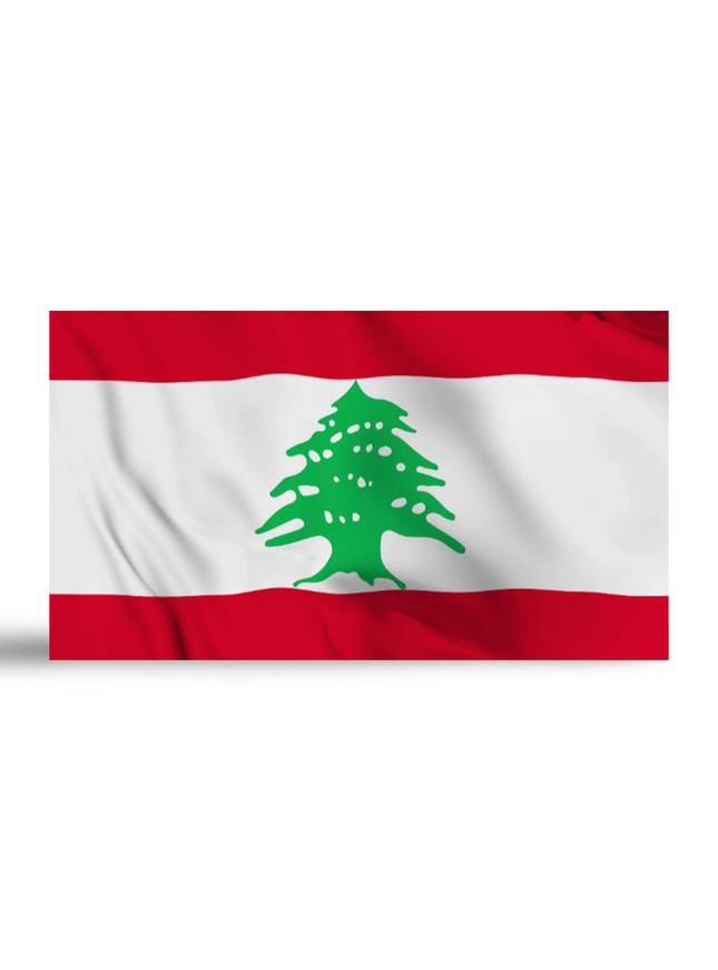 Table Top Flag- Singapore - Sign and Display UAE