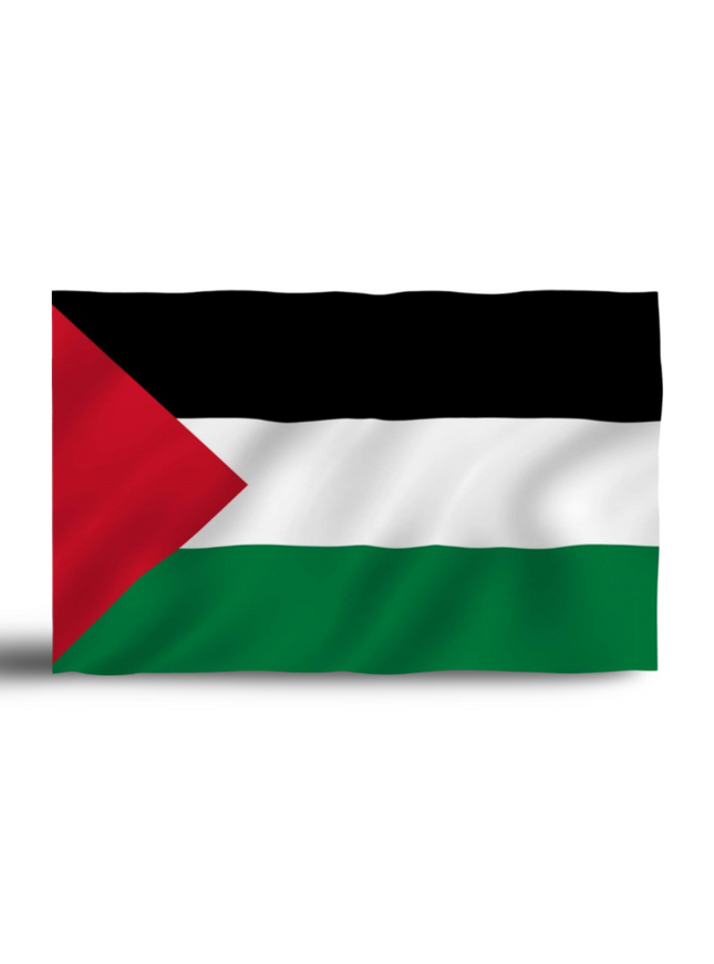 Table Top Flag -Palestine - Sign and Display UAE