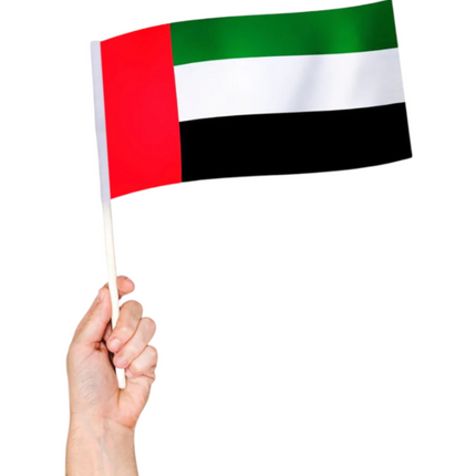 Hand Flag NDSD 20 Flag Size A5 - Sign and Display UAE