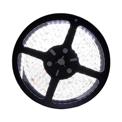 LED Roll 5m Non Water proof White 2835 Flexible - Sign and Display UAE