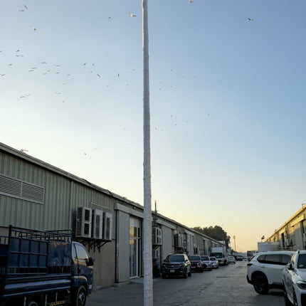 Fiber Flag Pole - 6 MTR with Accessories ( Hoisting type)