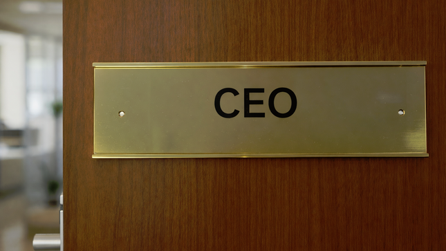 Door name holder Gold - Size 4" x 10" (10cms x 25cms)