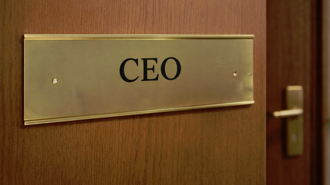 Door name holder Gold - Size 4" x 12" (10cms x 30cms)