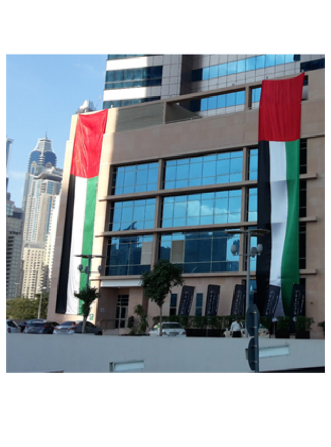 Wall Flag- NDSD 22D 1.2 x 1.8 M - Sign and Display UAE
