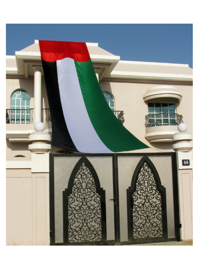Wall Flag - NDSD 22 NEW 1.3 x 6m & 1.8 x 6m - Sign and Display UAE
