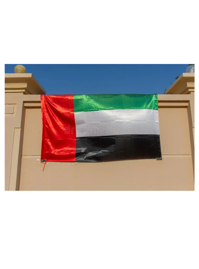 Wall Flag-NDSD 22 E 2 X 6 M - Sign and Display UAE