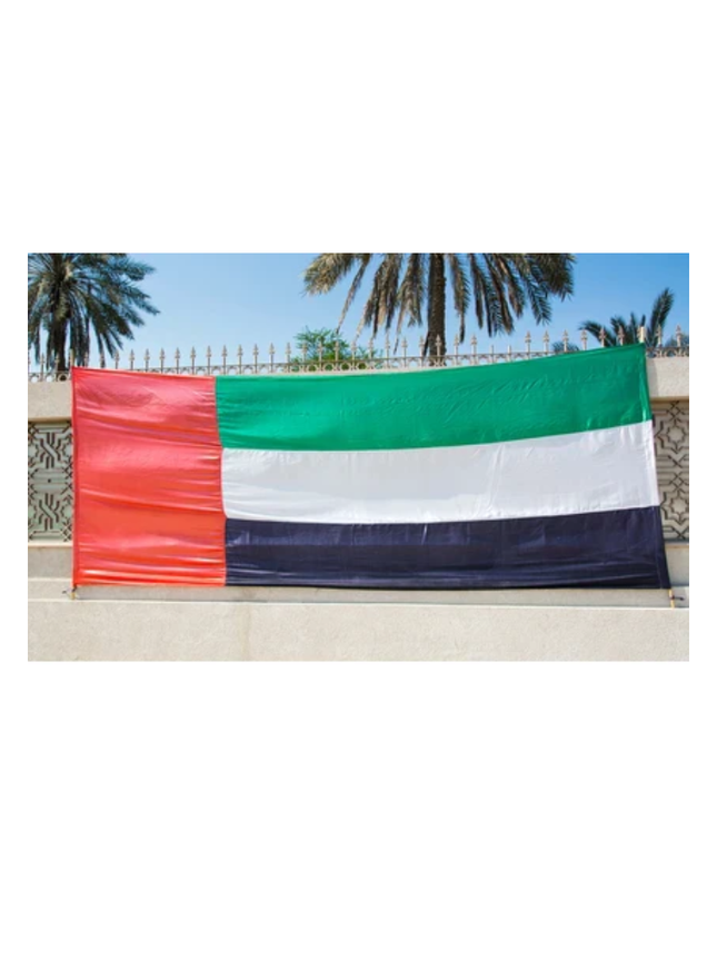Wall Flag-NDSD 22 I 4.3 x 12 m - Sign and Display UAE