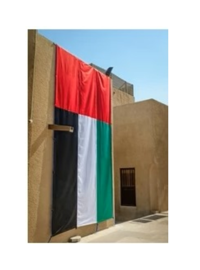 Wall Flag-NDSD 22F 3 X 10 M - Sign and Display UAE